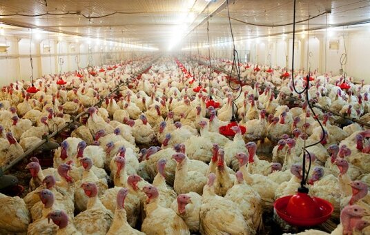 5b16f89720411dd1cf5fcf5fd3877e5e_XL